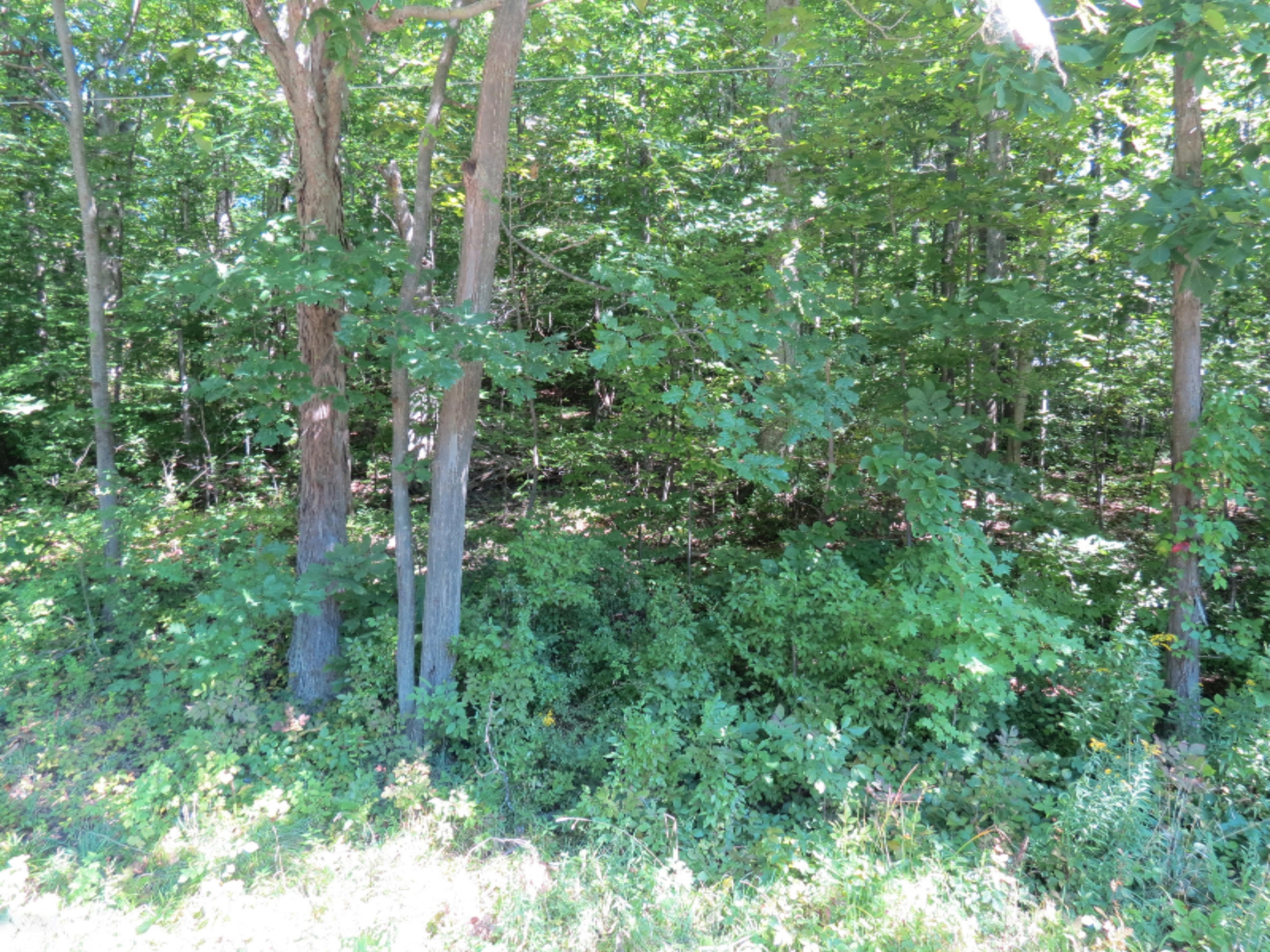5151 Fikes Road Coloma, MI 49038 - Photo 1 of 3 IMG_1853