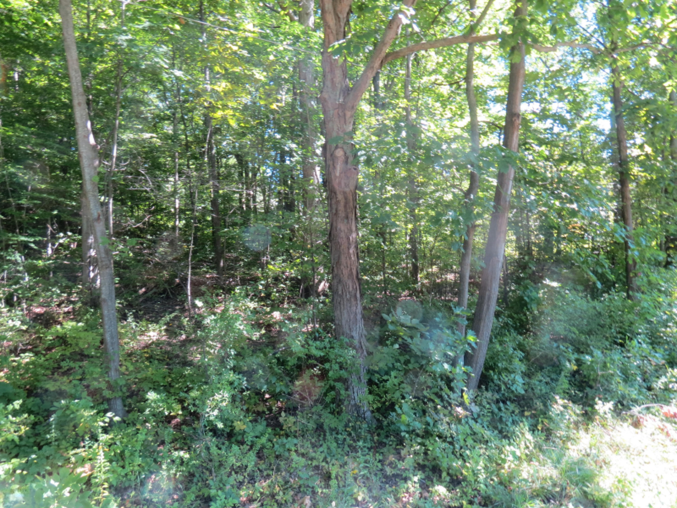 5151 Fikes Road Coloma, MI 49038 - Photo 2 of 3 IMG_1854