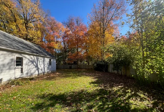 a view of a backyard with large trees