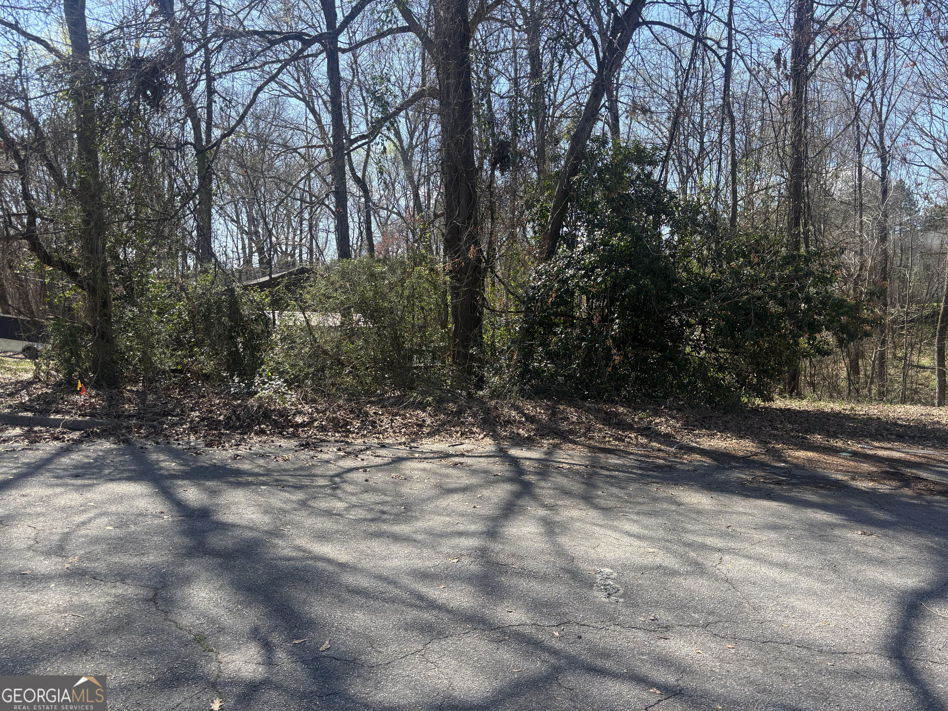 11005 Regents Court Hampton, GA 30228 - Photo 1 of 5 a view of a forest filled with trees