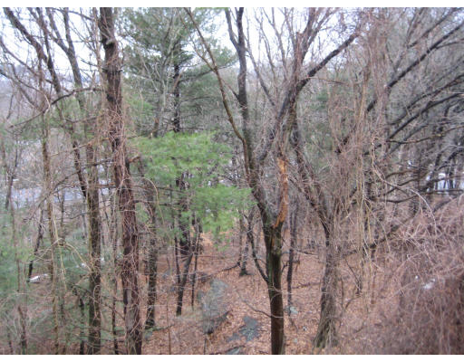 62 Jacqueline Road, Unit 12 Waltham, MA 02452 - Photo 14 of 14 Gallery Image 14