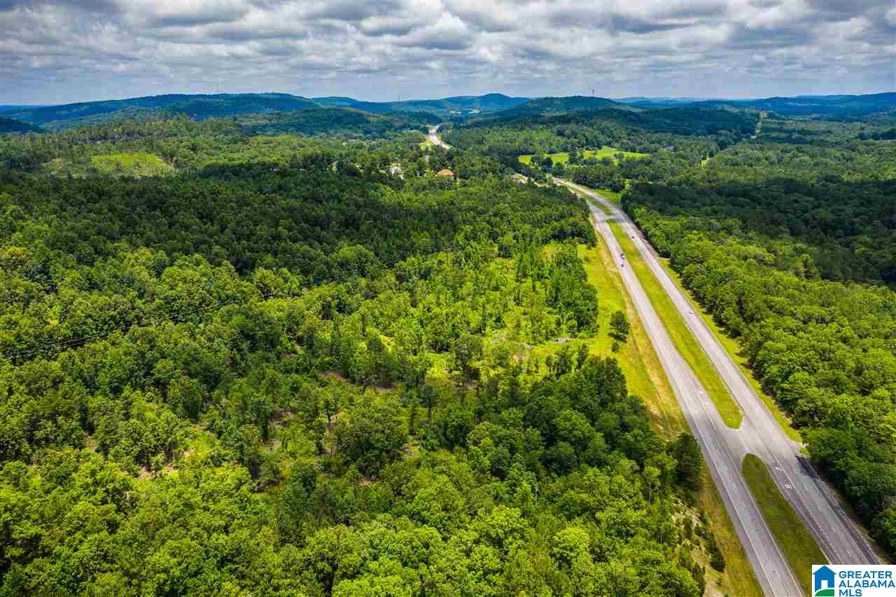 0 Highway 75, Unit 5032 Oneonta, AL 35121 - Photo 8 of 18