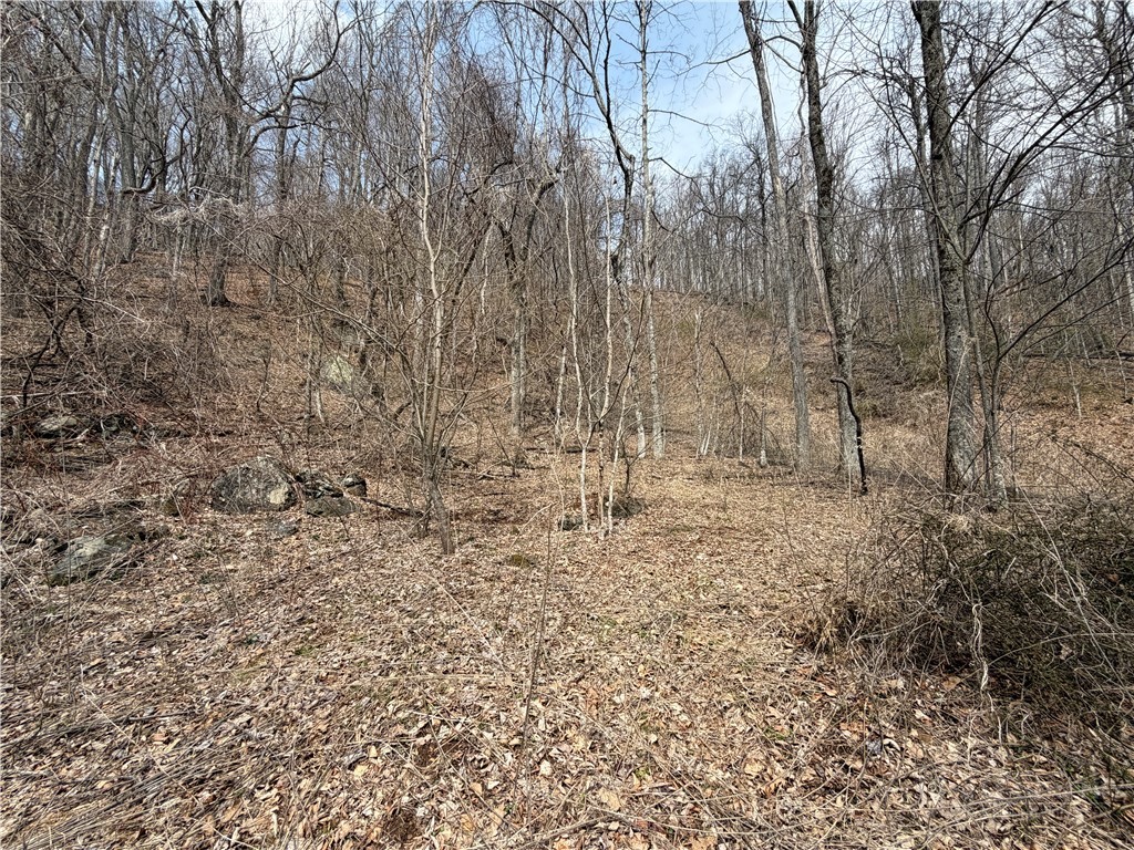 Rocky Mountain Road Boone, NC 28607 - Photo 2 of 21 a view of yard with trees