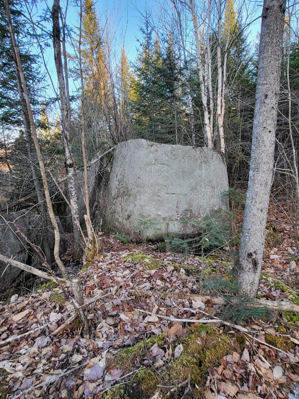 Lot 1 South Oakfield Road Oakfield, ME 04763 - Photo 12 of 26 Resized_20231223_151850_1705516135543