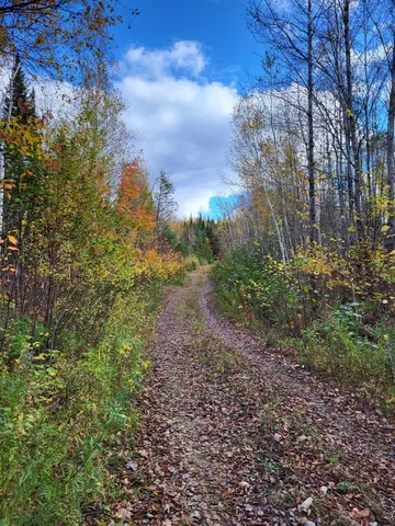 $29,900 | Lot 1 South Oakfield Road, Oakfield, ME 04763