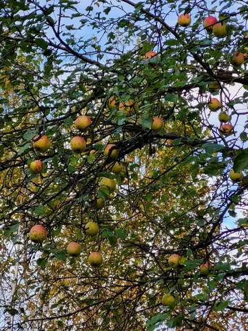 $29,900 | Lot 1 South Oakfield Road, Oakfield, ME 04763