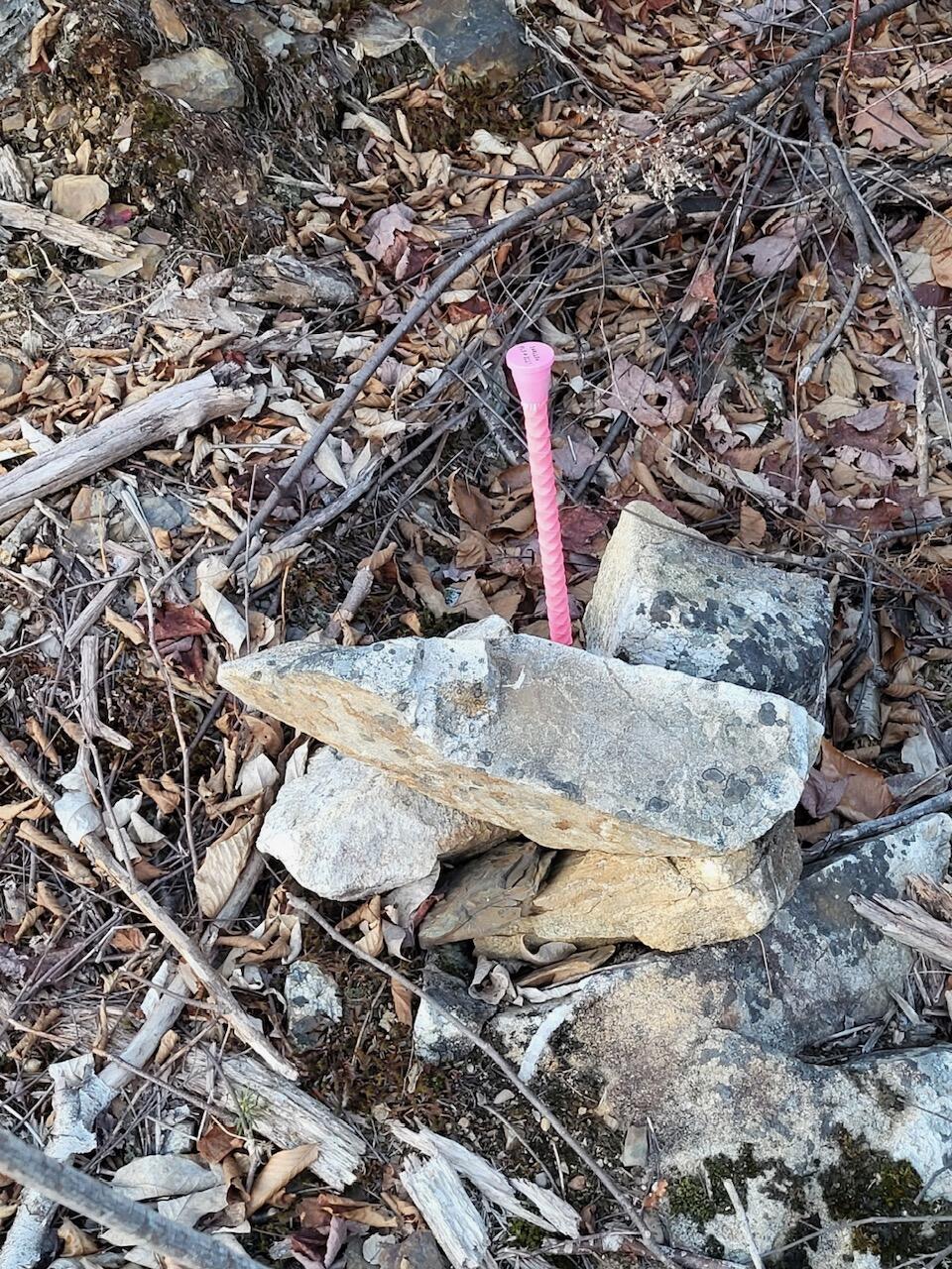 Lot 1 South Oakfield Road Oakfield, ME 04763 - Photo 19 of 26 Resized_20231223_153321_1705516089425