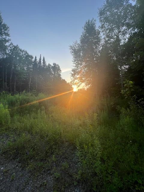 Lot 1 South Oakfield Road Oakfield, ME 04763 - Photo 20 of 26 Pic 20