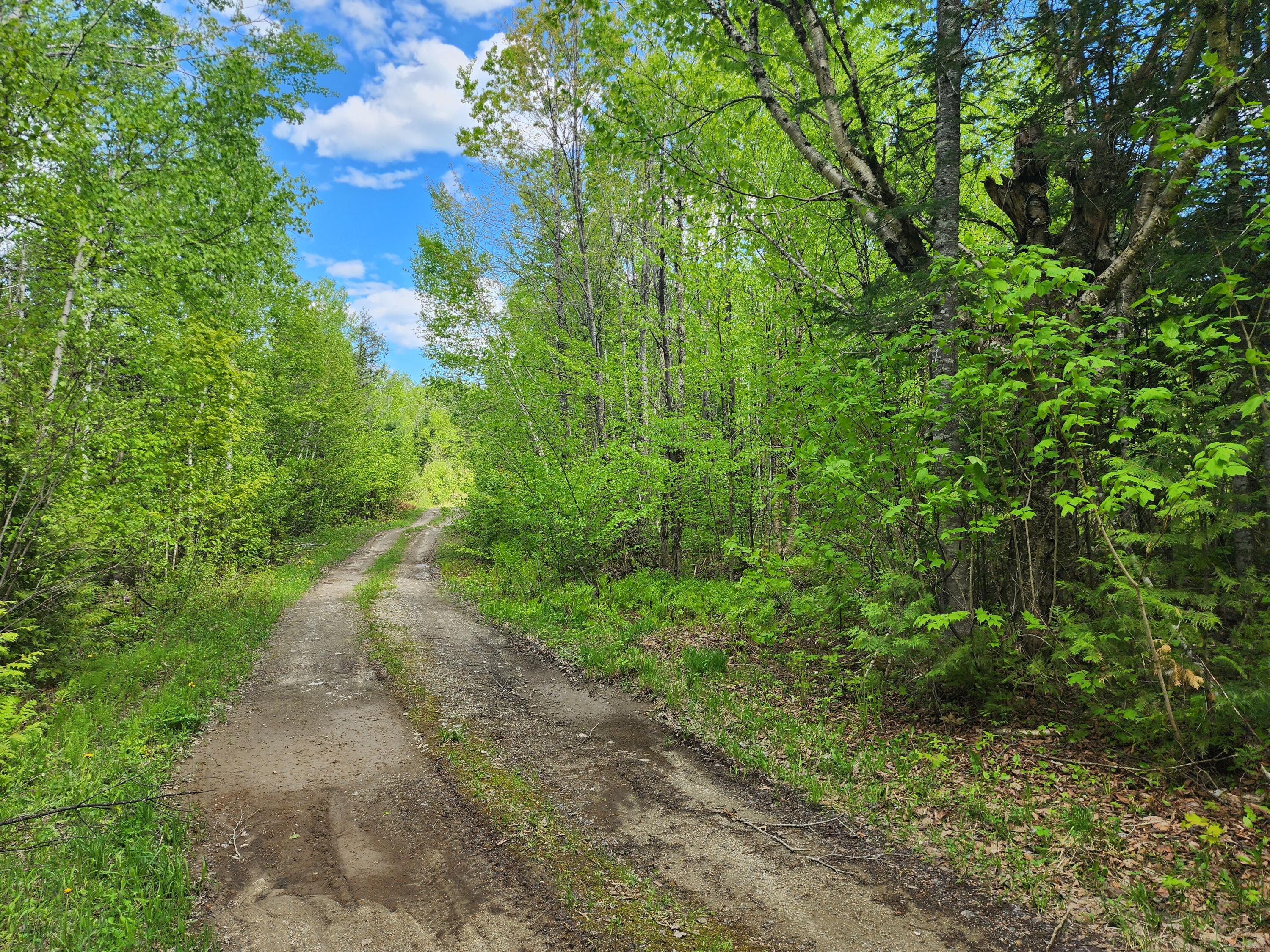 Lot 1 South Oakfield Road Oakfield, ME 04763 - Photo 23 of 26 20250527_150702