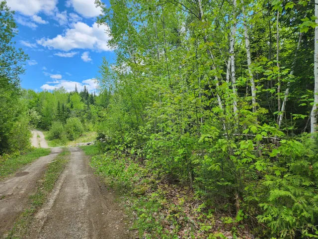 $29,900 | Lot 1 South Oakfield Road, Oakfield, ME 04763