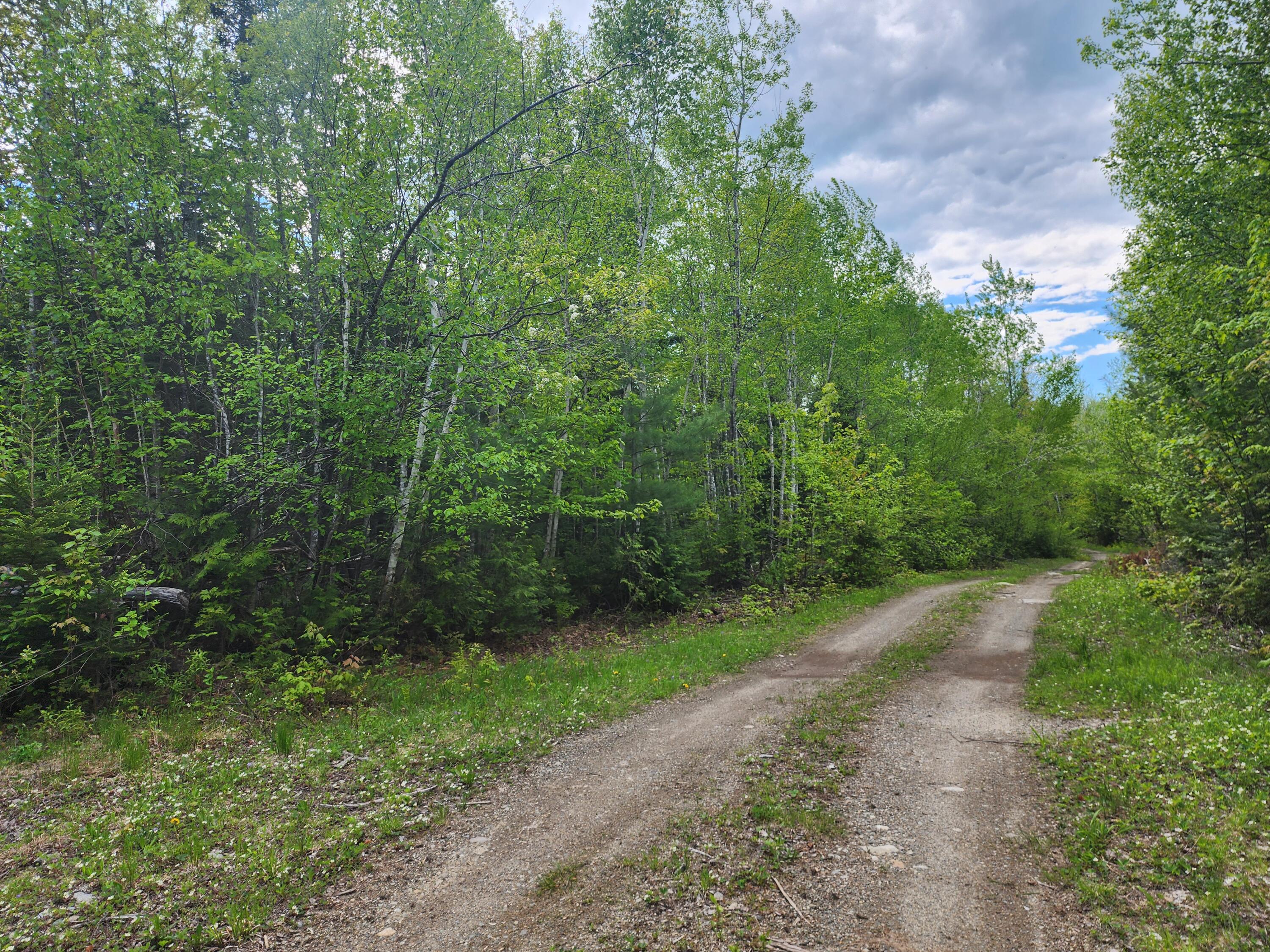 Lot 1 South Oakfield Road Oakfield, ME 04763 - Photo 25 of 26 20250527_150827