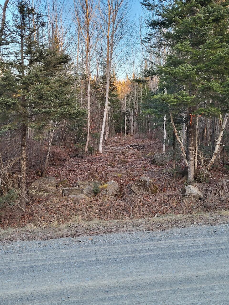 Lot 1 South Oakfield Road Oakfield, ME 04763 - Photo 6 of 26 Resized_20231223_152441_1705516106466