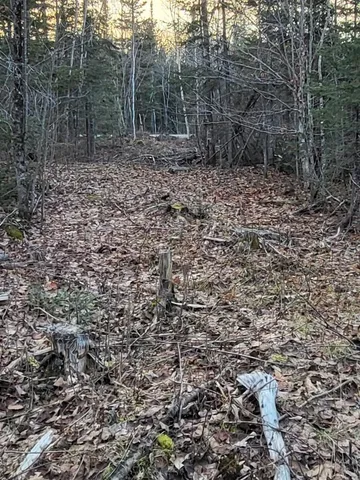 $29,900 | Lot 1 South Oakfield Road, Oakfield, ME 04763