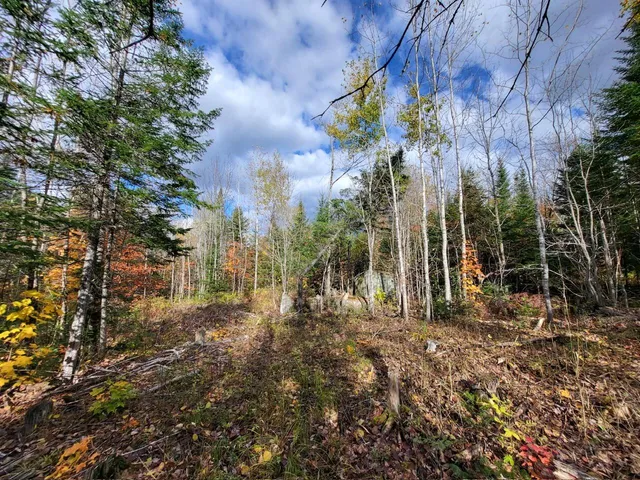 $29,900 | Lot 1 South Oakfield Road, Oakfield, ME 04763