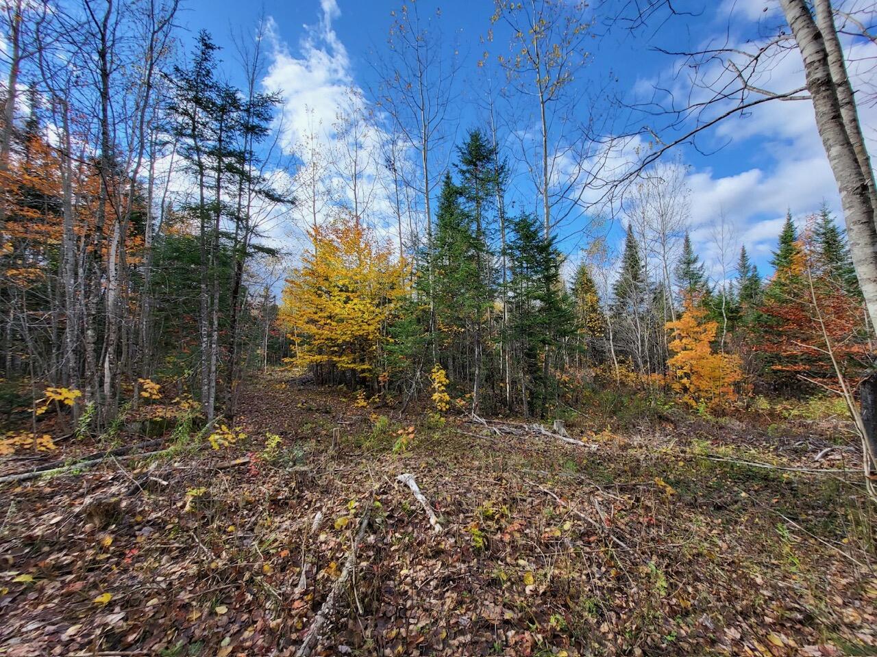 Lot 1 South Oakfield Road Oakfield, ME 04763 - Photo 10 of 26 Resized_20231018_132002_1705516273097