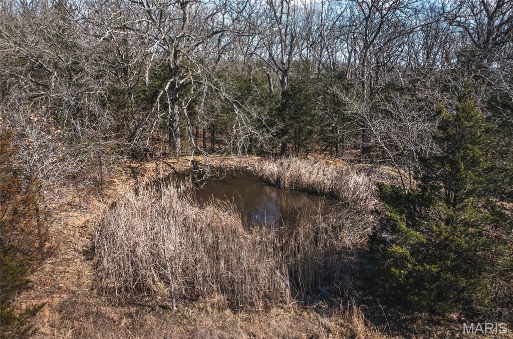 11985 State Rte V Rolla, MO 65401 - Photo 40 of 47