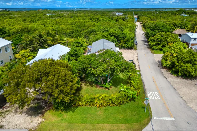 an aerial view of a house with a garden