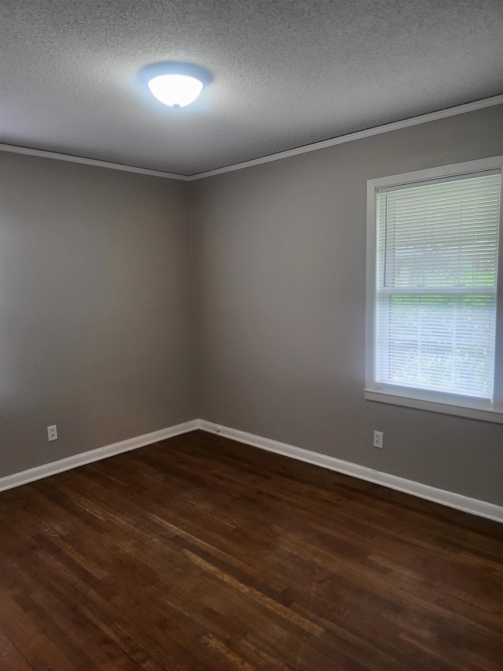 1769 Capri Street Memphis, TN 38117 - Photo 12 of 19 Empty room featuring a textured ceiling, crown molding, and dark wood-style flooring