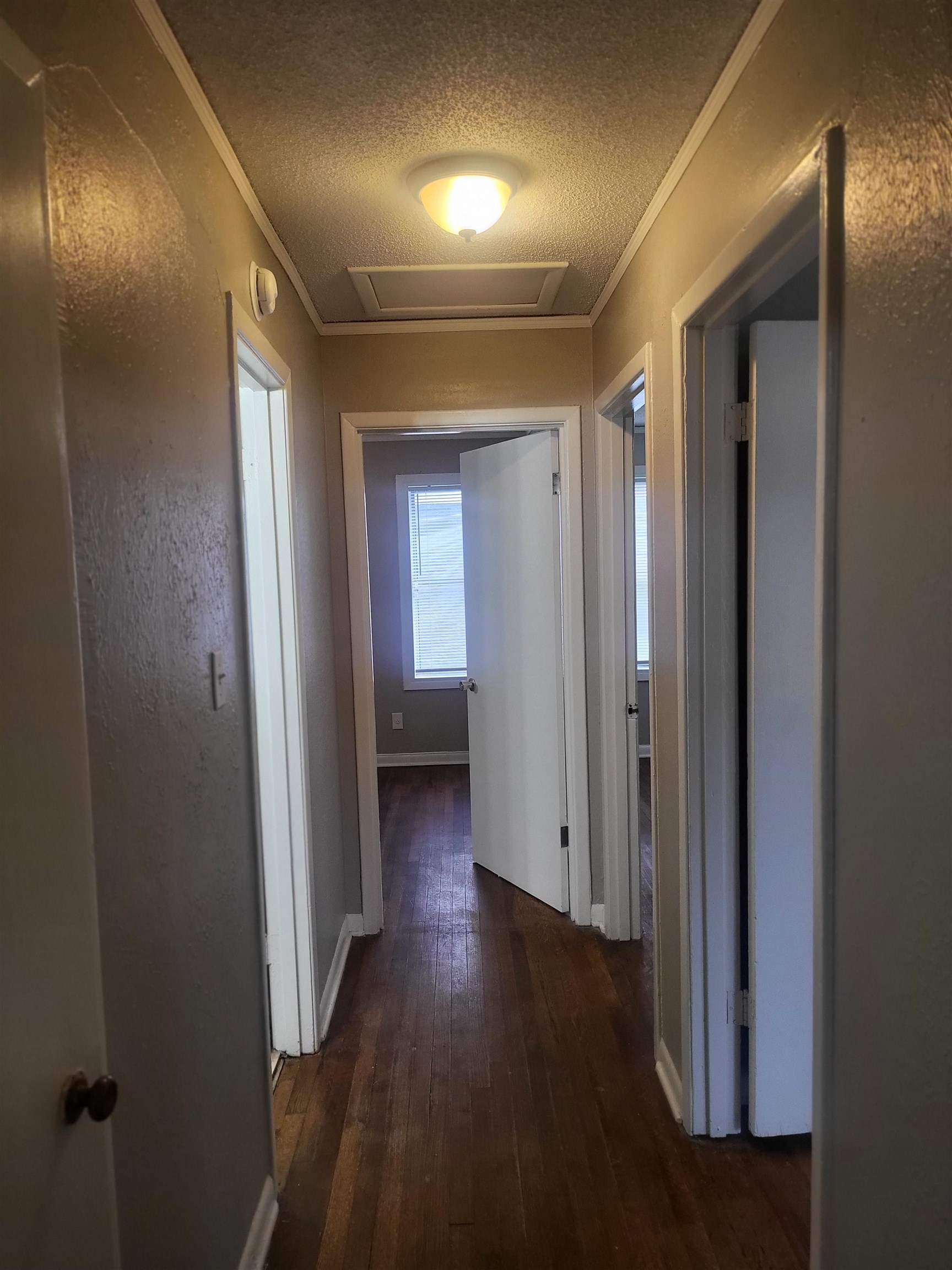 1769 Capri Street Memphis, TN 38117 - Photo 2 of 19 Hall with a textured ceiling, dark wood-style flooring, and crown molding