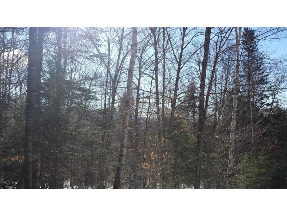 0 Tamarack Road Thornton, NH 03285 - Photo 2 of 3