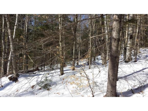0 Tamarack Road Thornton, NH 03285 - Photo 3 of 3