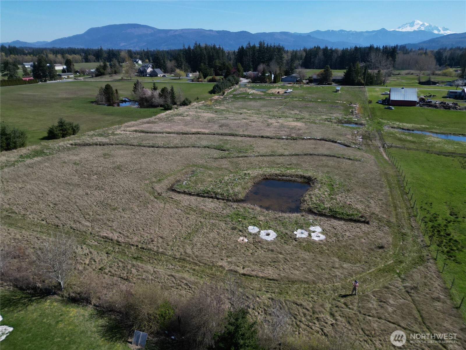 5351 Dinkle Road Bellingham, WA 98226 - Photo 9 of 21 a view of a grassy area with an trees
