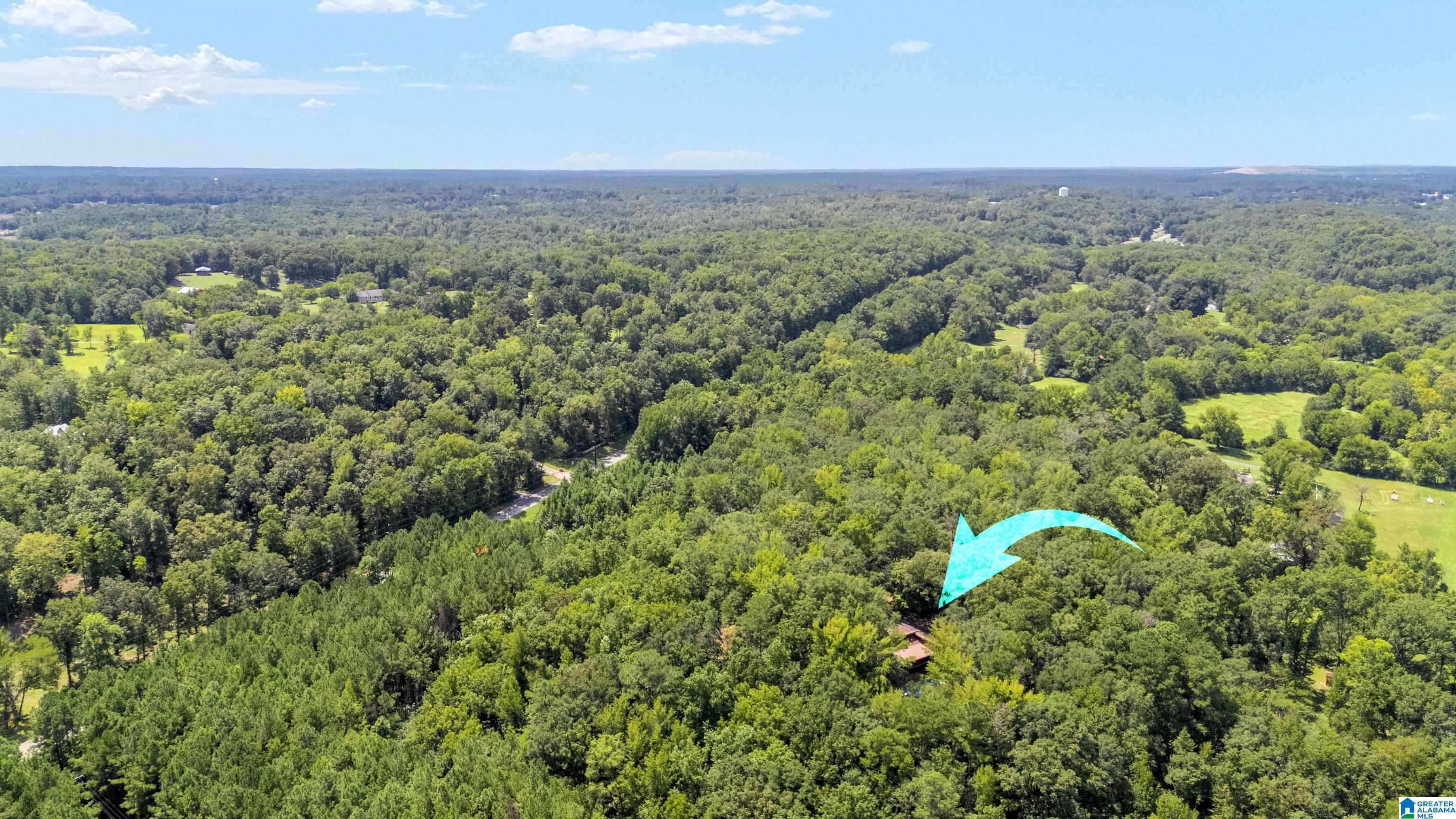 2339 Spring Creek Road Montevallo, AL 35115 - Photo 79 of 79 Gallery Image 79