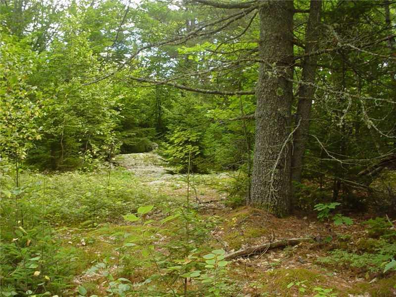 363 Tucker Road Wayne, ME 04284 - Photo 7 of 8 Land.