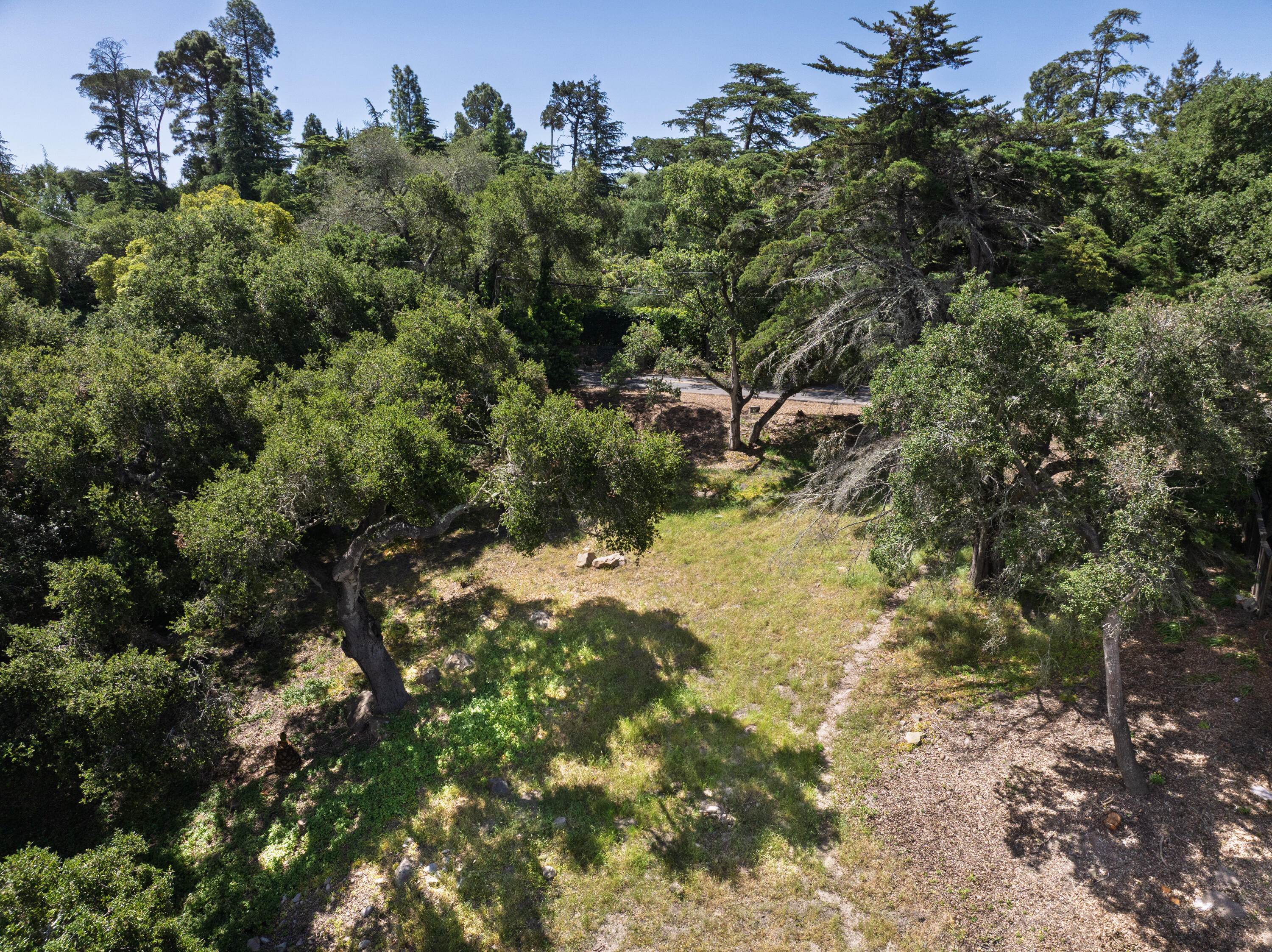 1208 Las Alturas Road Santa Barbara, CA 93103 - Photo 1 of 8 a view of a forest with a tree