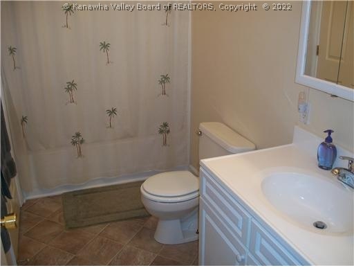 4105 Whitten Ridge Road Milton, WV 25541 - Photo 6 of 8 Master Bath/Spa.