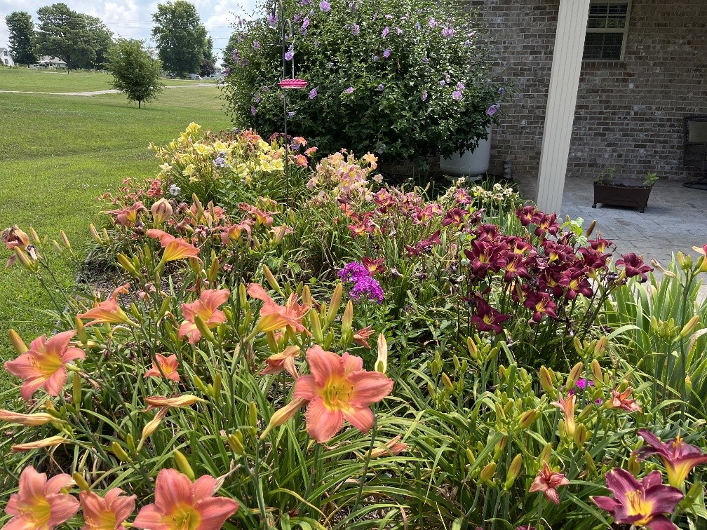 100 Ladybug Lane Bethpage, TN 37022 - Photo 3 of 56