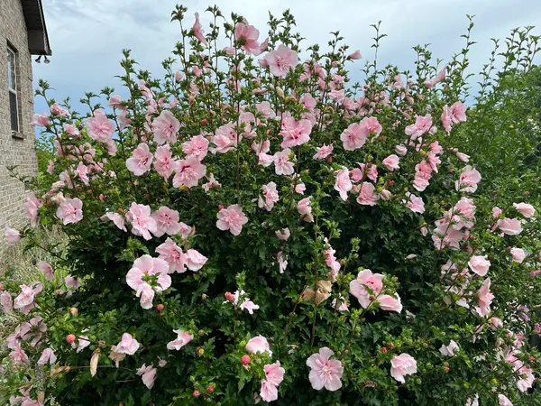 $509,900 | 100 Ladybug Lane, Bethpage, TN 37022