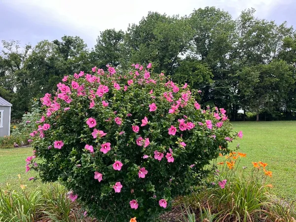 $509,900 | 100 Ladybug Lane, Bethpage, TN 37022