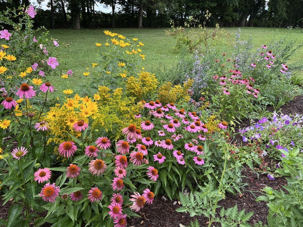 100 Ladybug Lane Bethpage, TN 37022 - Photo 53 of 56