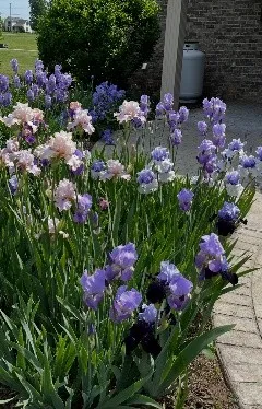 $519,900 | 100 Ladybug Lane, Bethpage, TN 37022