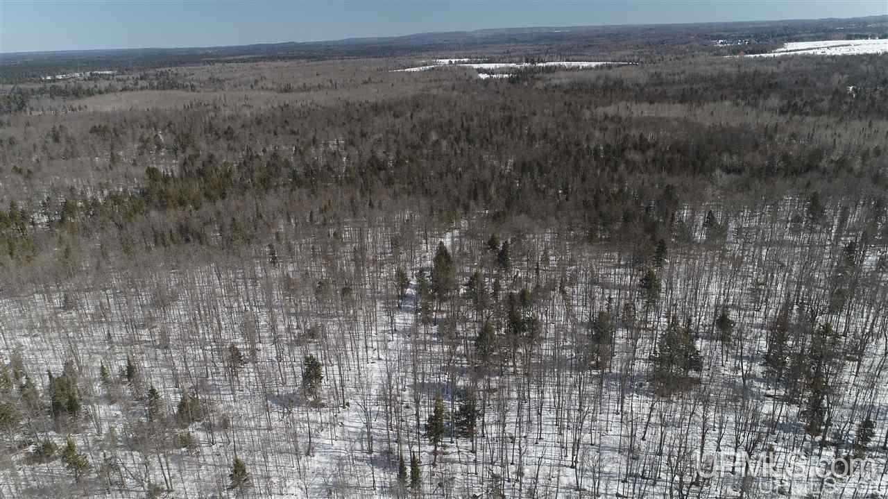 240-acres Leek Road Covington, MI 49919 - Photo 47 of 50