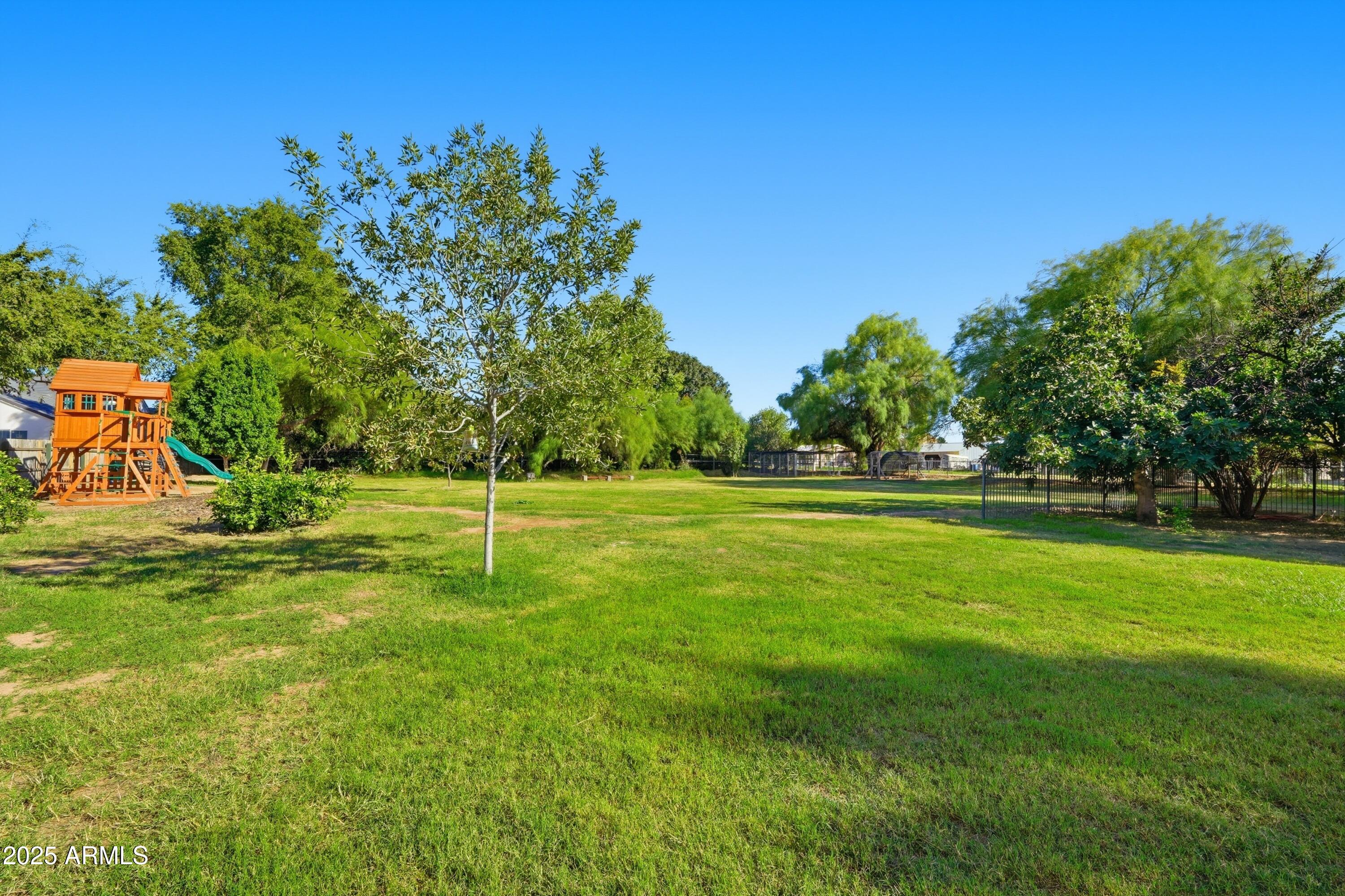 21047 South 156th Street Gilbert, AZ 85298 - Photo 39 of 40 a view of a park with a tree