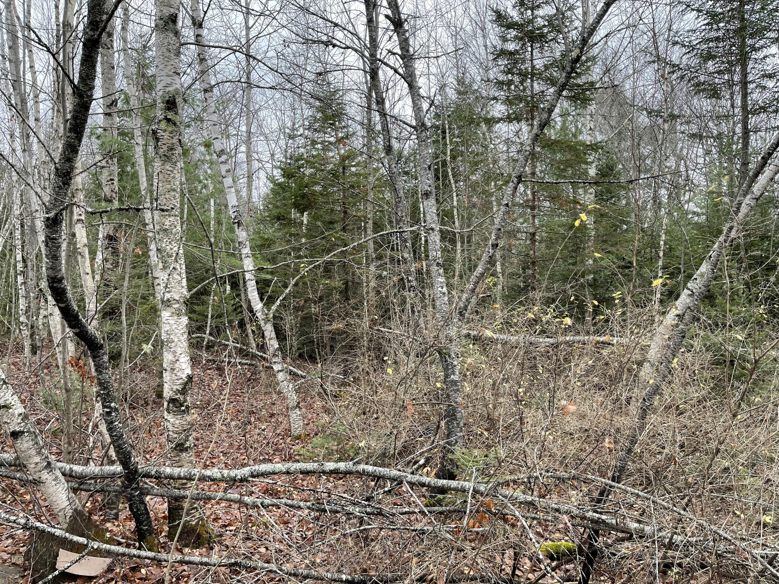 194 East Gulch Road Thorndike, ME 04986 - Photo 12 of 19 194 Gulch Road