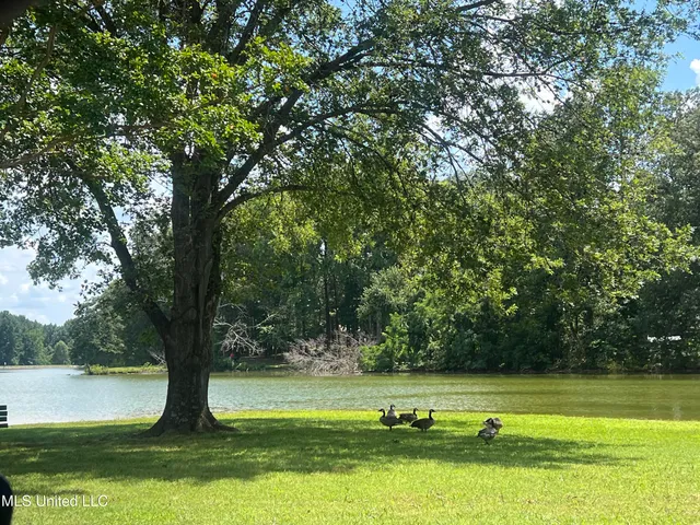 $269,900 | 6540 Forest Grove Lane, Walls, MS 38680