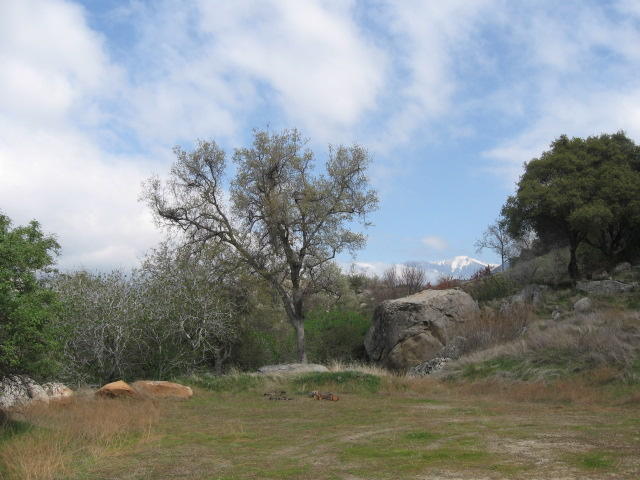 0 Oak Grove Drive Three Rivers, CA 93271 - Photo 2 of 13 Additional Photo
