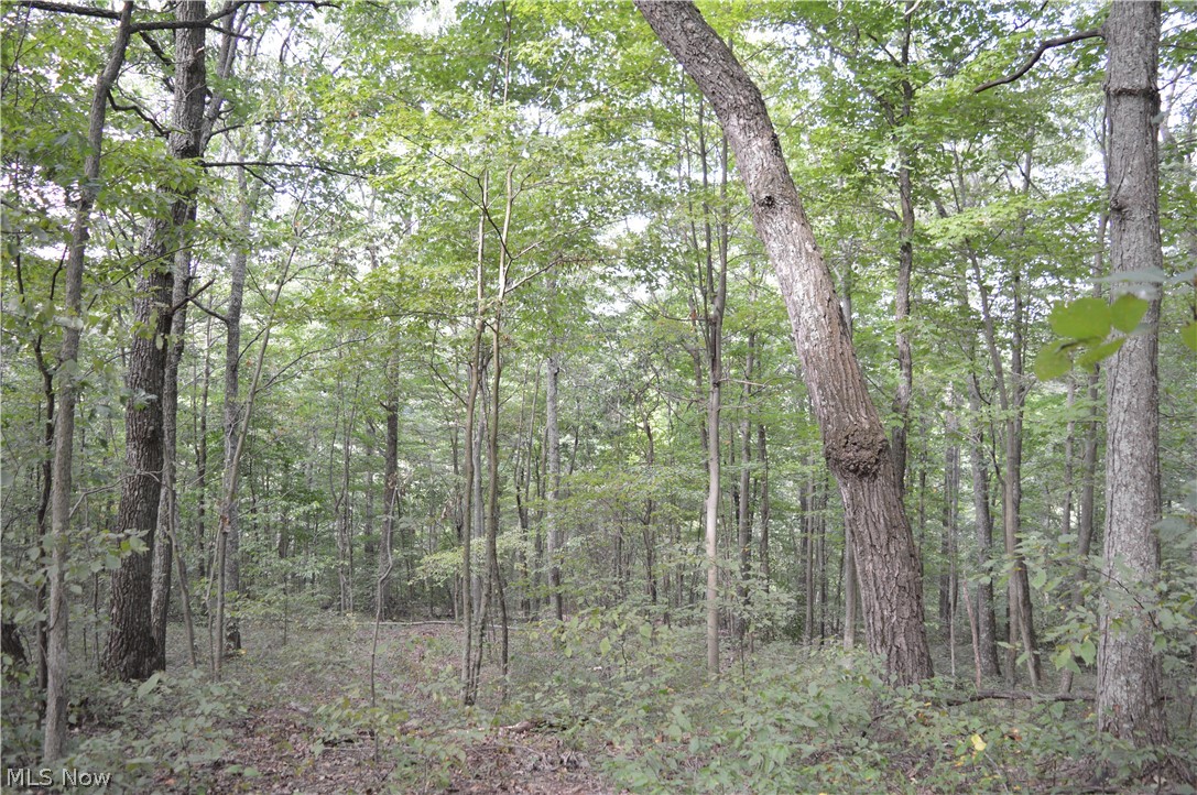 Beverlin Fork Center Point, WV 26339 - Photo 8 of 17