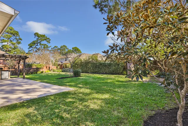 a view of a garden with a tree