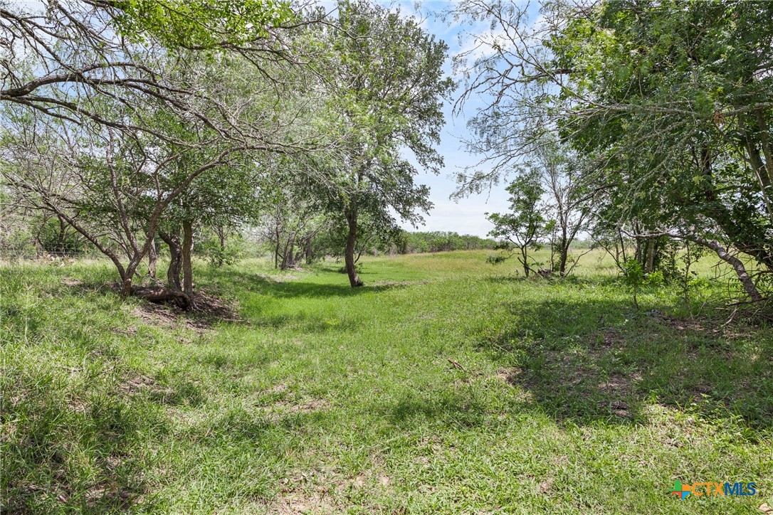 1190 Dickerson Road Lockhart, TX 78644 - Photo 5 of 40