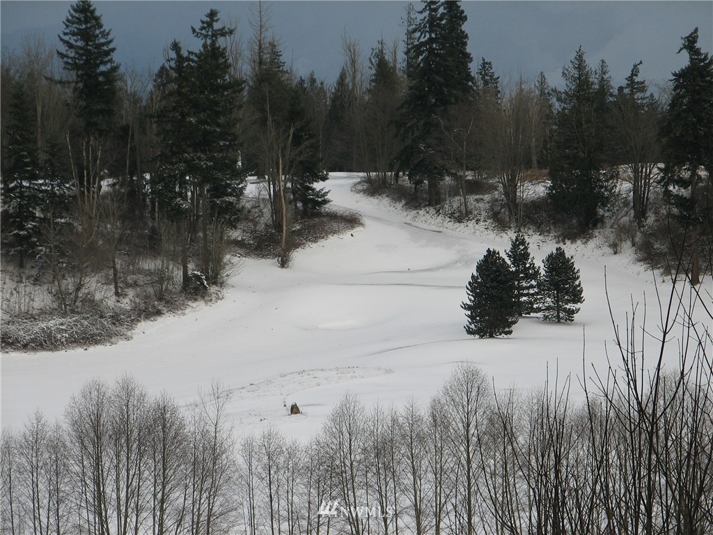 1454 East Axton Road Bellingham, WA 98226 - Photo 19 of 25 Gallery Image 19