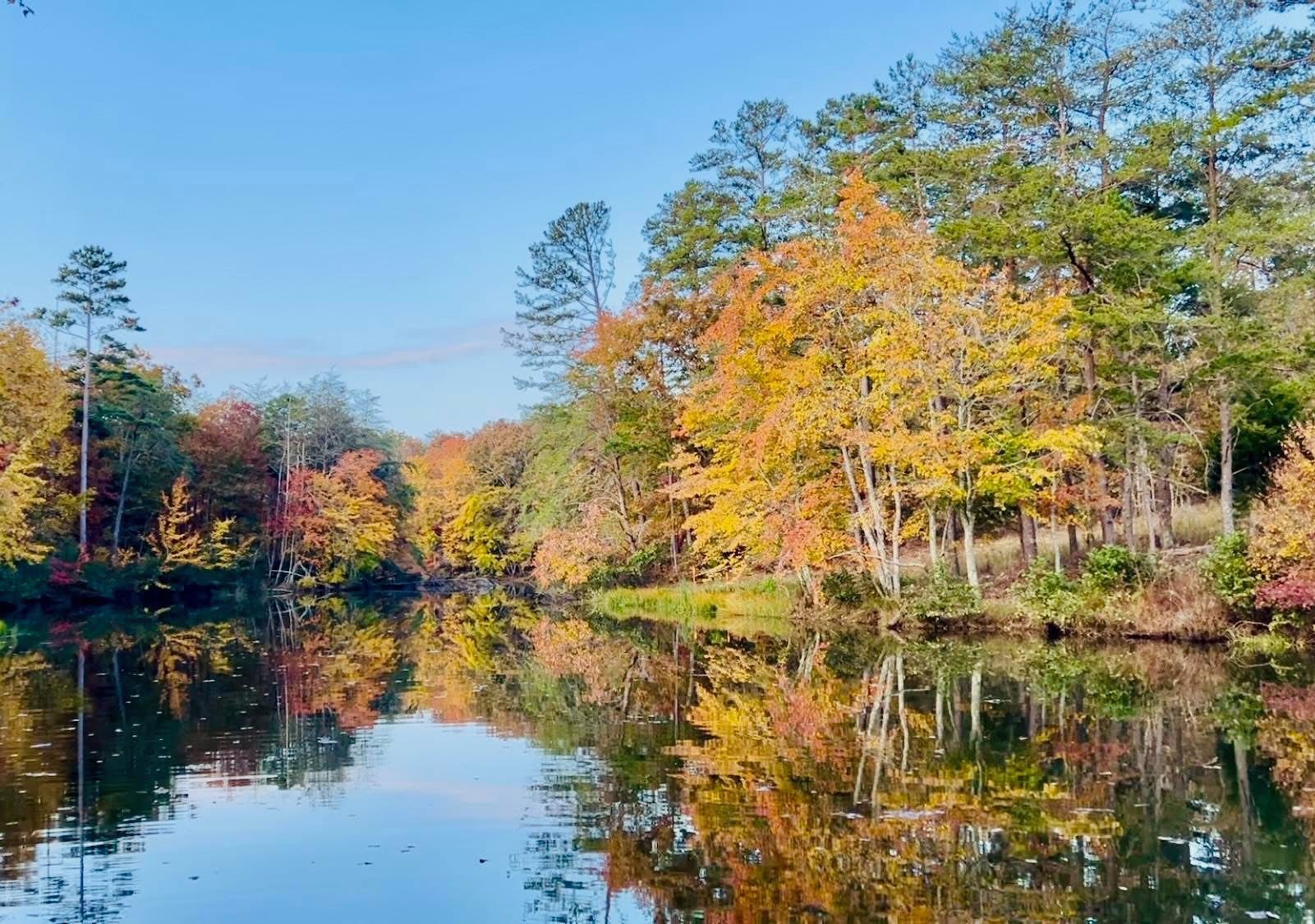 23475 Sr 108 Coalmont, TN 37313 - Photo 54 of 58