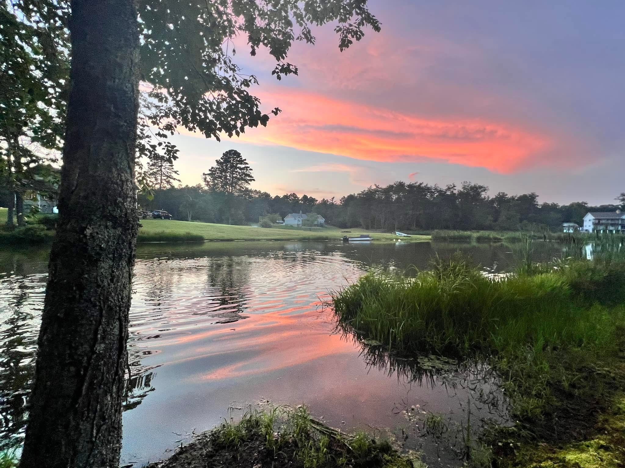 23475 Sr 108 Coalmont, TN 37313 - Photo 55 of 58