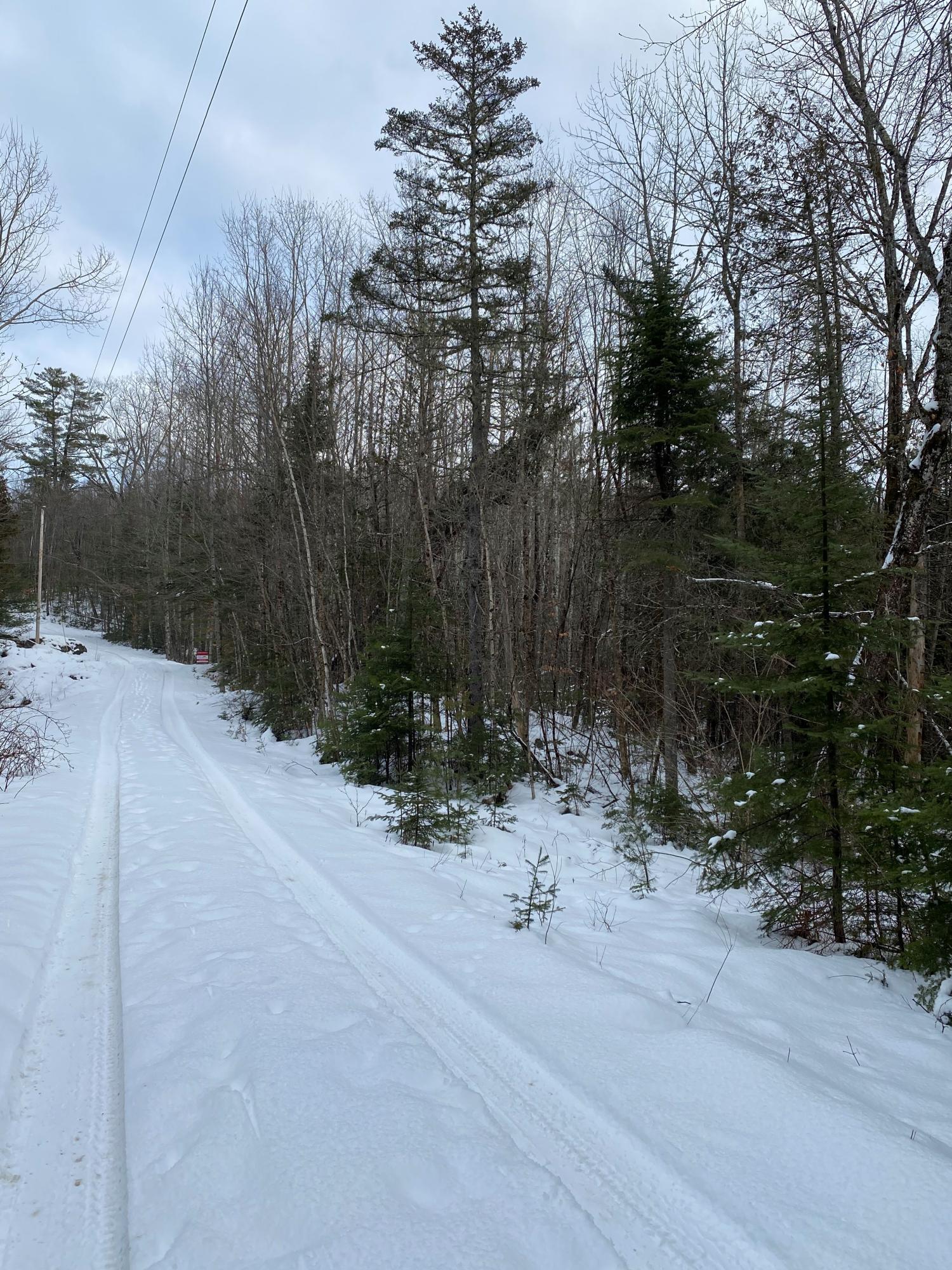 0 Webb Road Thorndike, ME 04986 - Photo 2 of 3 Webb Road Woodlot 4