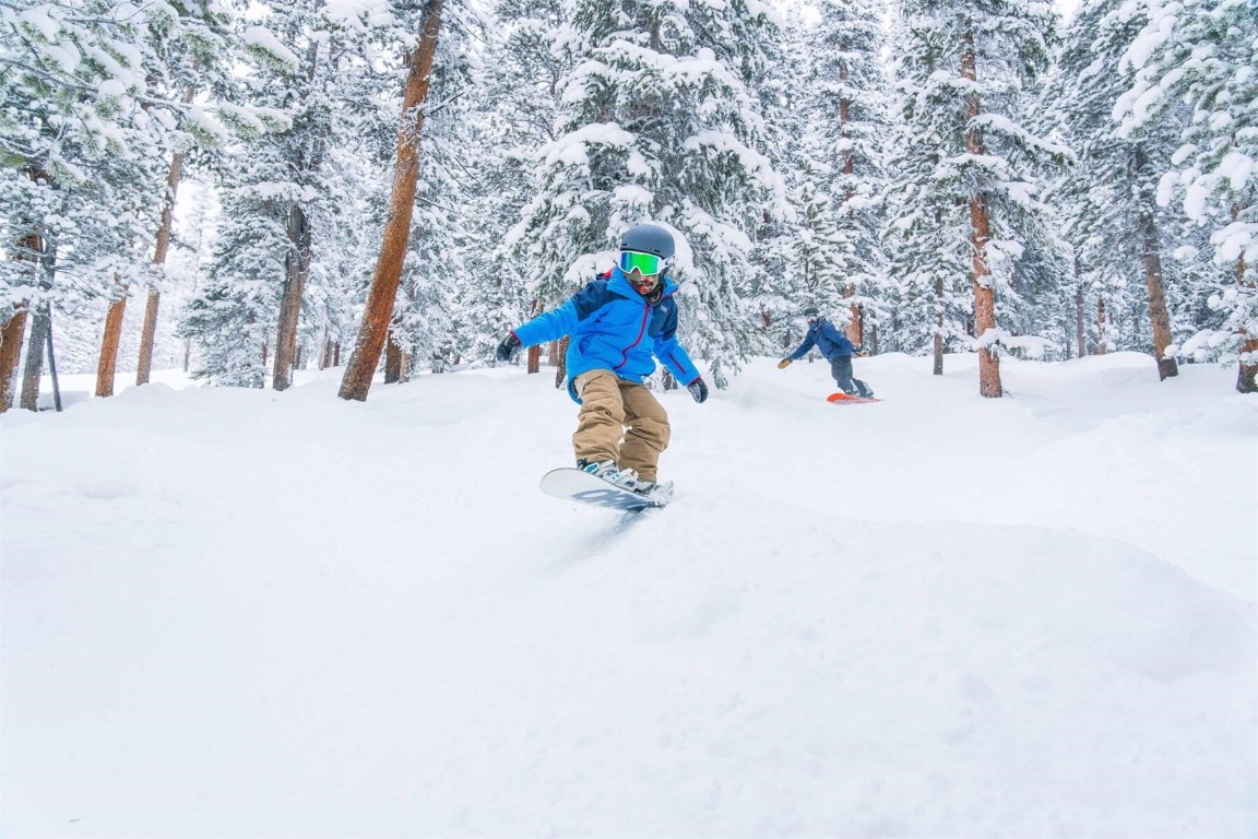 75 Hunki Dori Court, Unit W113 Keystone, CO 80435 - Photo 49 of 50
