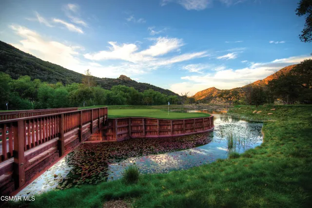 a view of a back yard