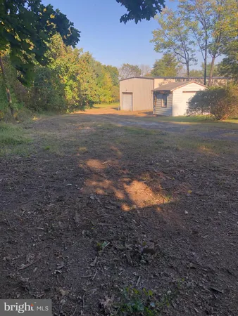 a view of dirt yard with a large tree